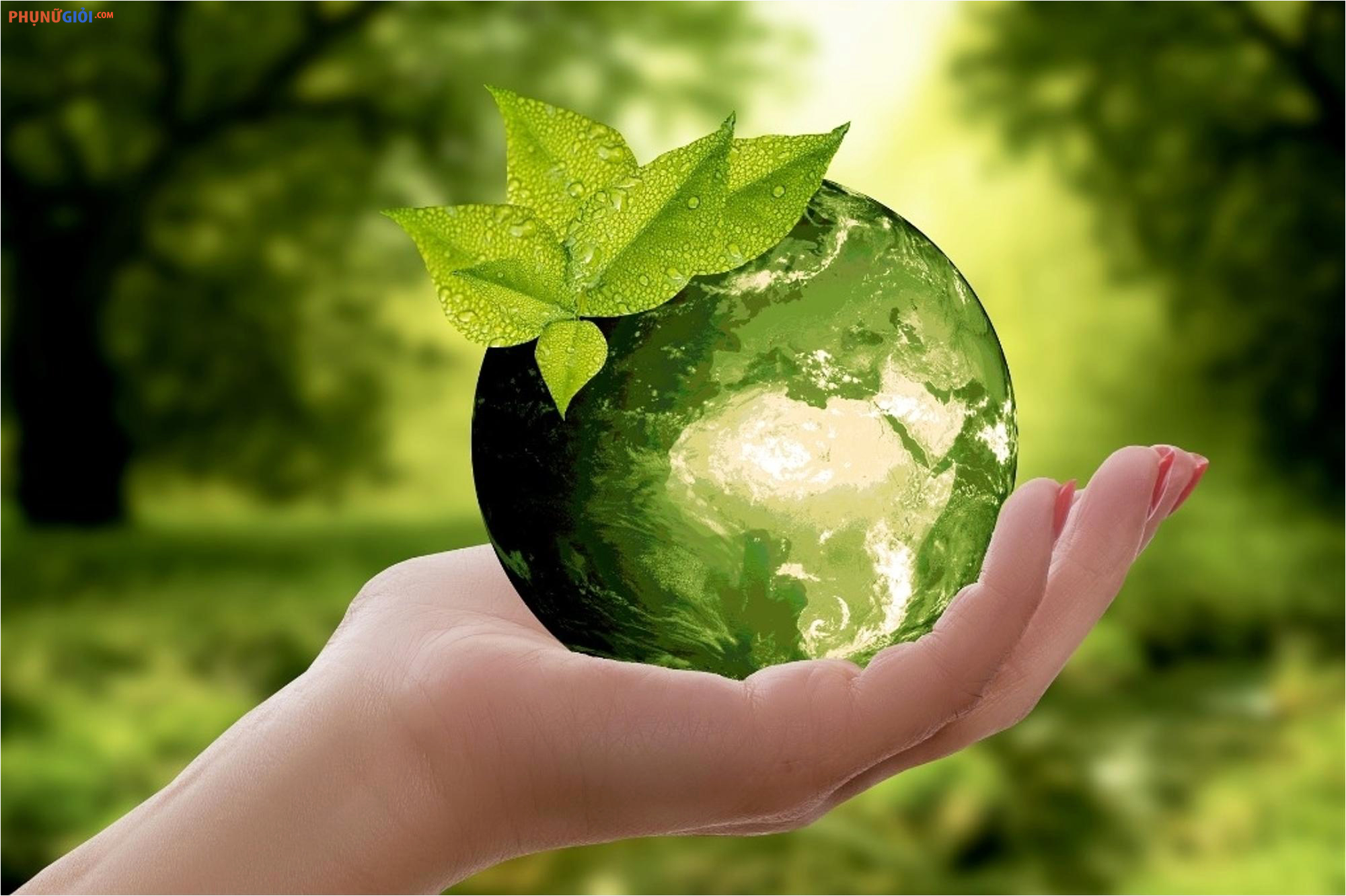 Ngày 7/9: Ngày Quốc tế Không khí sạch 2024 "Giảm ô nhiễm không khí vì một bầu trời xanh"